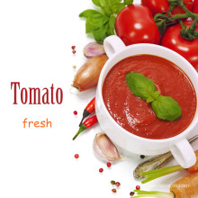 Консервированная томатная паста (28% -30%) Горячие продажи высокого качества